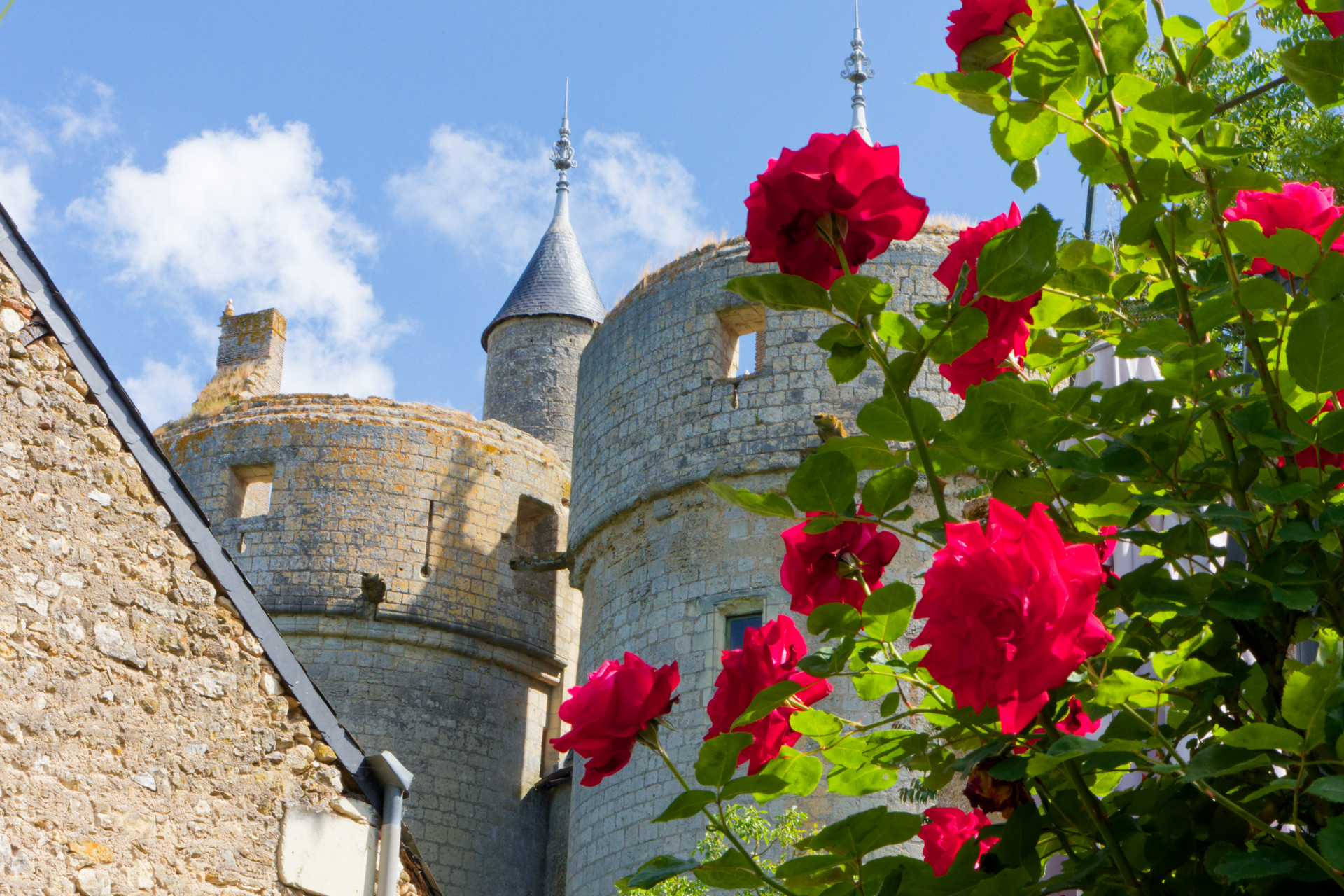 Mobirise Website Builder